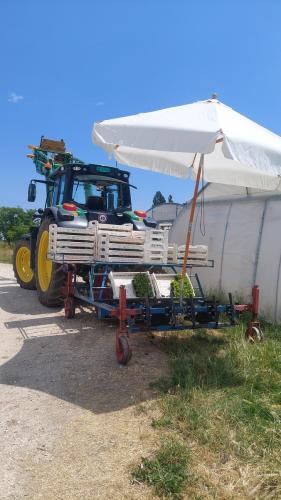 01_20250703_131131 01_20250703_131131