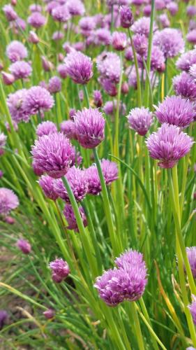 20230518_152320 20230518_152320