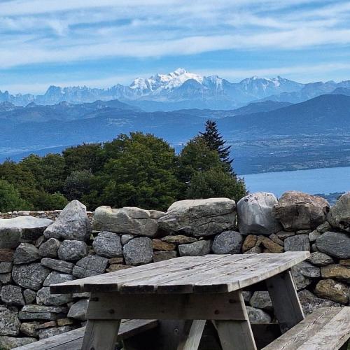 Visite_aux_Fruitieres_de_Nyon_1